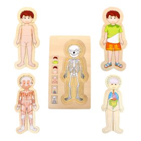 Jucării din lemn pentru picioare mici Puzzle Anatomie Tim, small foot